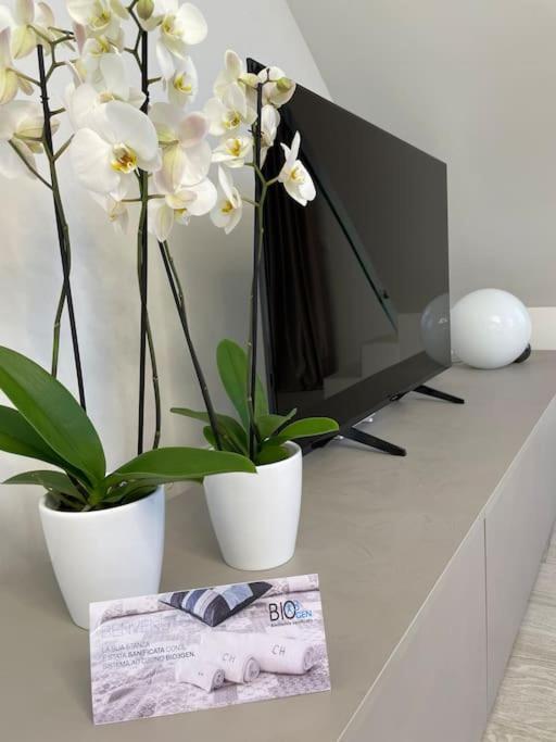 Apartamento Queen Luxury